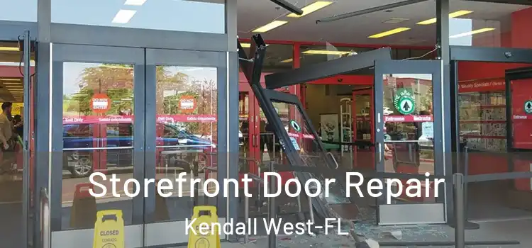 Storefront Door Repair Kendall West-FL